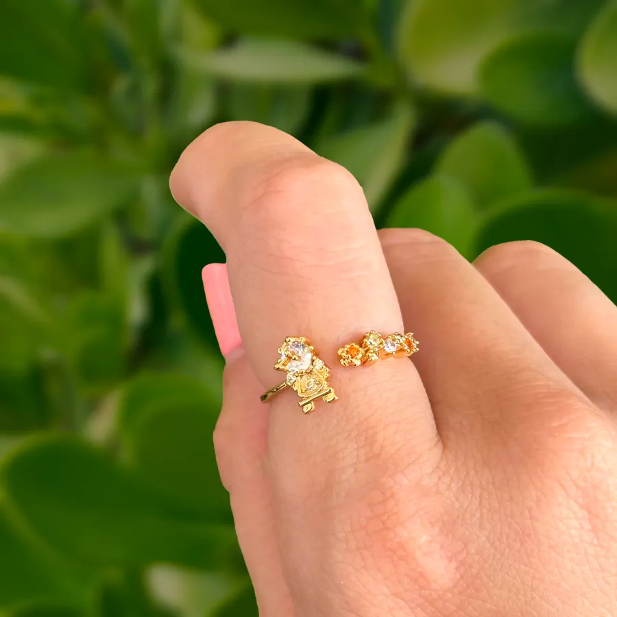 Anillo Colección Bella Ding Don Ajustable