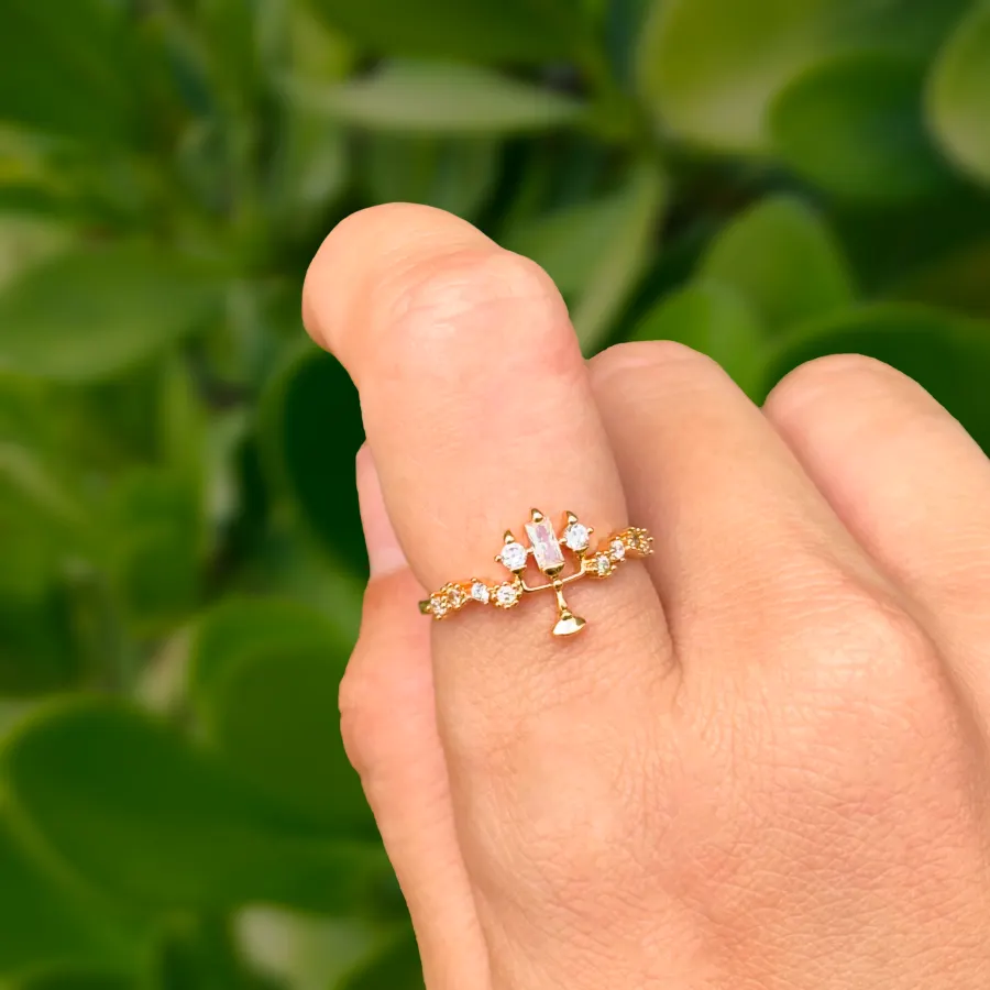 Anillo Coleccion Bella Lumiere Ajustable