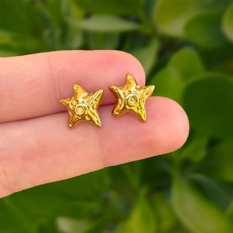 Aretes Estrella Mar Acero Inoxidable